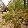 Sandy Victims Being Hit With Downed Tree Violations, LIPA Fees